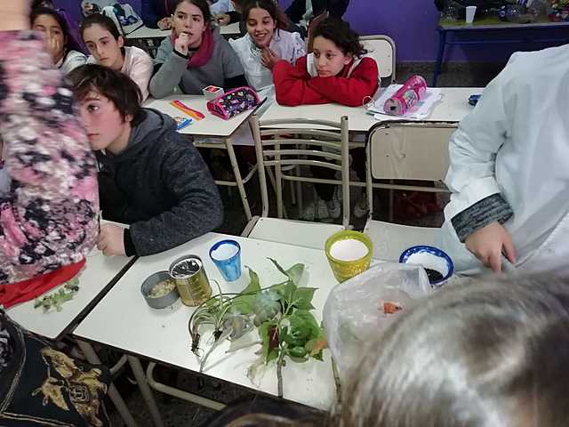 plantamos las semillas