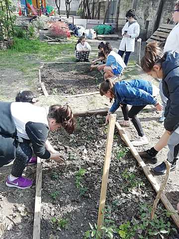 pusimos las plantas en la huerta