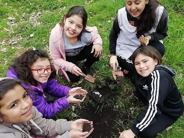 embellecimos  huerta con  plantas
