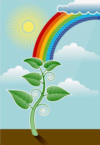 (3 Billion Years Ago) Life Forms Begin to Become Photosynthetic