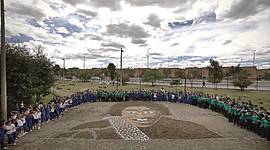 Timeline: Linea de vida Garzonista