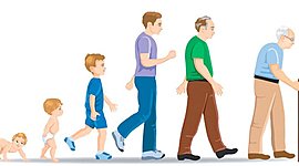 Timeline: Psicología del Desarrollo