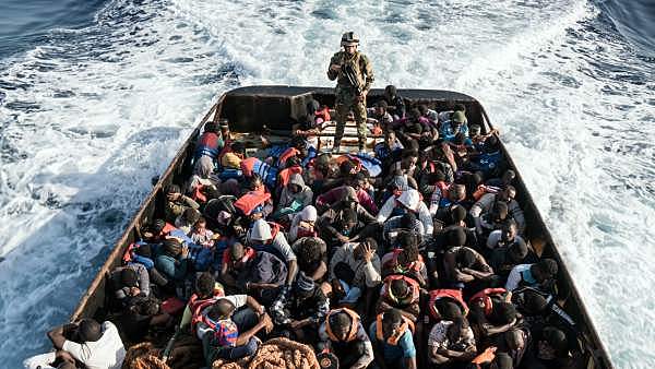 Llegaron los inmigrantes.