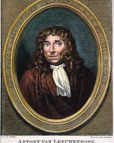 Anton Van Leeuwenhoek