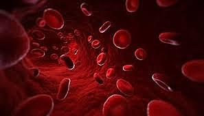 Discoverry of AB blood type.