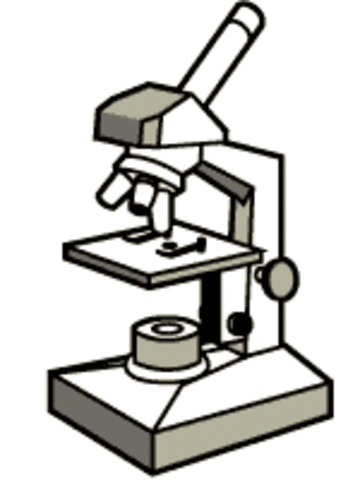 First Microscopes (1665)