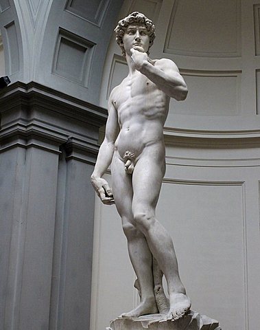 Michelangelo sculpted the statue of David.