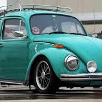 Timeline: HISTORIA DEL VOCHO