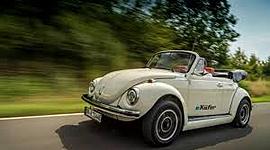 Timeline: HISTORIA DEL VOCHO