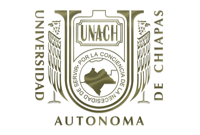 Posgrado en Estudios Culturales por la UNACH