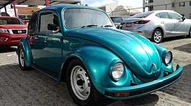 Timeline: HISTORIA DEL VOCHO