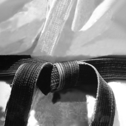 Rcieved Second Degree Black Belt