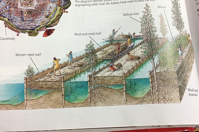 When the Aztec advanced in farming.