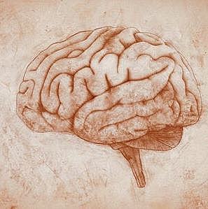 Psicólogos Experimentales