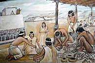 sociedad agricola y ganadera