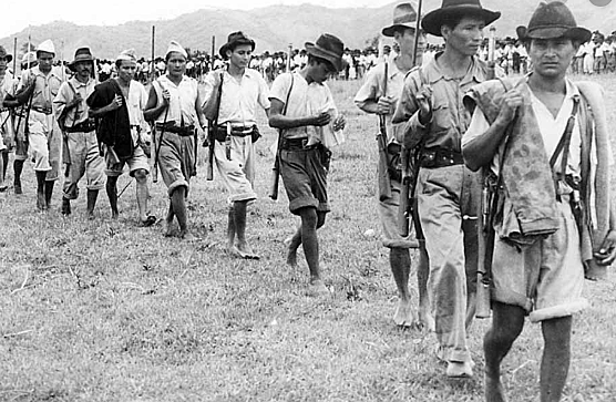 Guerrillas Partidarias