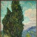 CYPRESSES
