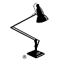 Anglepoise Lamp