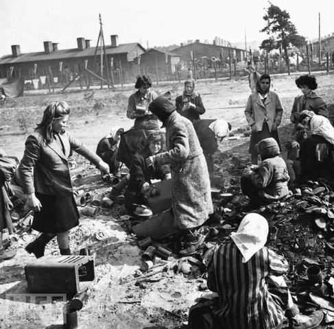 Liberate Auschwitz and Birkenau concentraion camps.