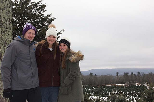 Christmas Tree Hunting