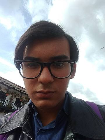 Presentado por : Elkin Manuel Vargas Mora