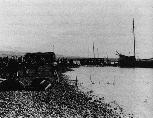 Restricts immigration of Jewish refugees