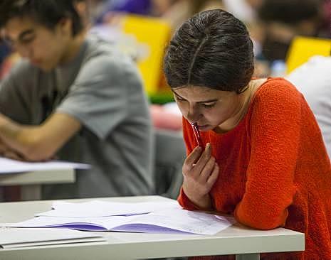 Pruebas individuales o colectivas