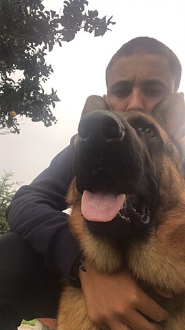 Petita entremaliadura