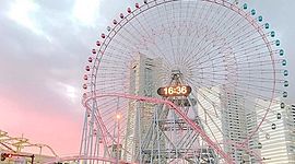 Timeline: Regne atraccions