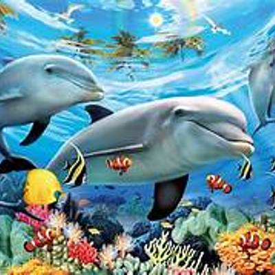 Timeline: REGNE AQUATIC