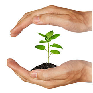 Rasasa Foreign Ministry Respond