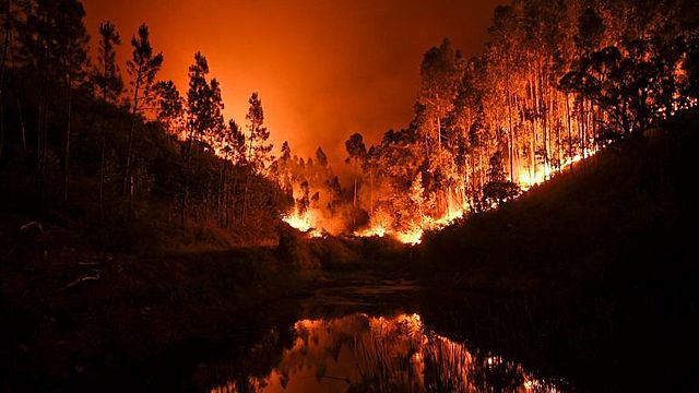 Incêndio florestal em Pedrógão Grande