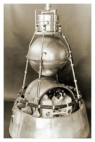 Sputnik 2