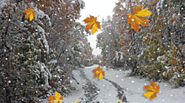 Timeline: Осень