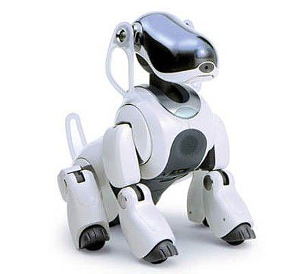 1999 Aibo:Chien robot de compagnie développé par Sony, il peut se déplacer et interagir avec son environnement. Il est considéré comme "robot autonome" car il peut apprendre et mûrir sous la conduite de son propriétaire.