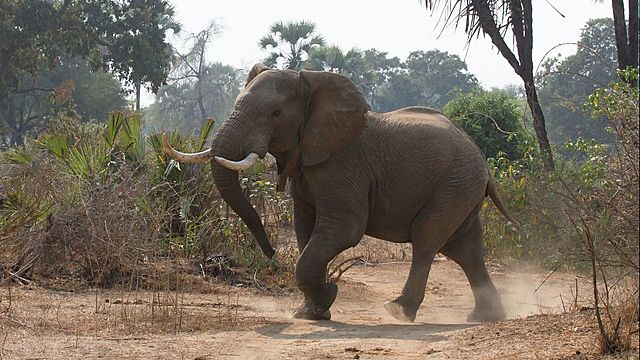 Lawsuit Against Trump's Administration