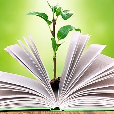 Timeline: Educación Ambiental