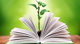 Timeline: Educación Ambiental