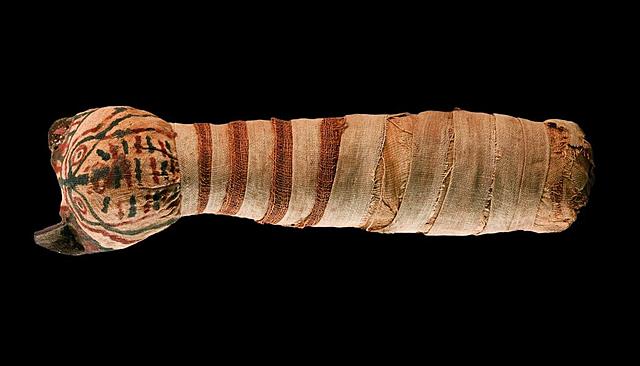 MOMIFICACIÓ D'ANIMALS (CURISITATS EGIPTE)