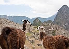 Conquest of the Incas