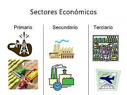 SECTORES ECONOMICOS