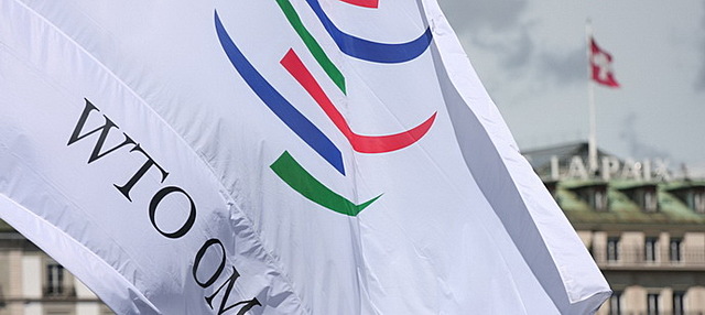 Вступ до СОТ: пріоритетне завдання виконано