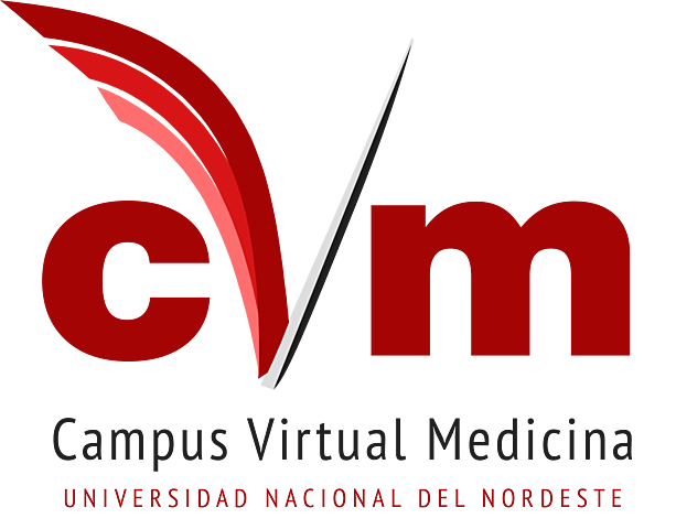 Campus virtual en la Facultad