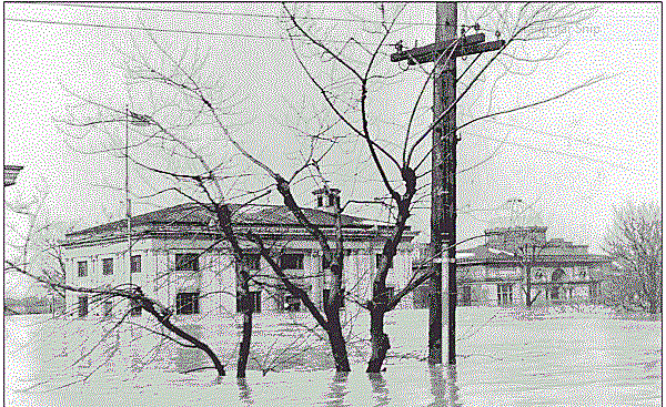 The Great Flood of 1937 damages the library.