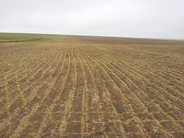 A starving period began at Jamestown