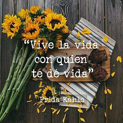 Timeline: Luisa Velasco