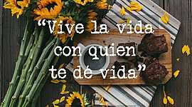 Timeline: Luisa Velasco