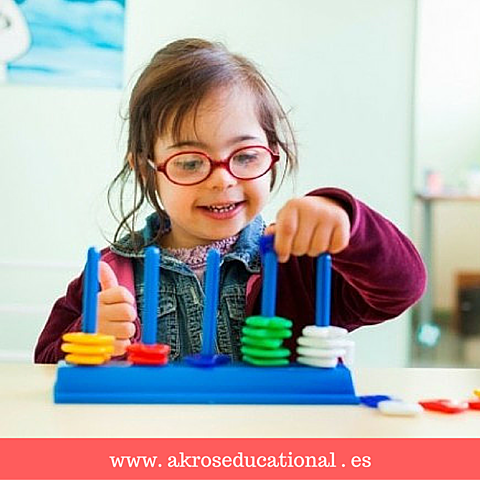 Concepción de la Discapacidad Intelectual