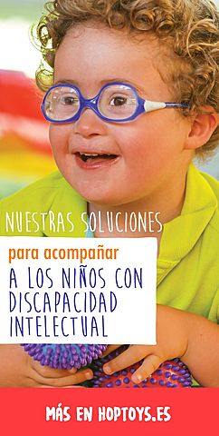 Concepción de la Discapacidad Intelectual