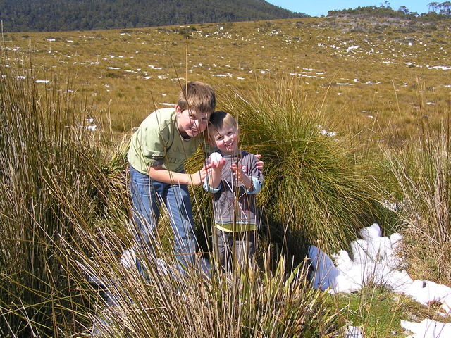 Went to Tasmania and Victoria